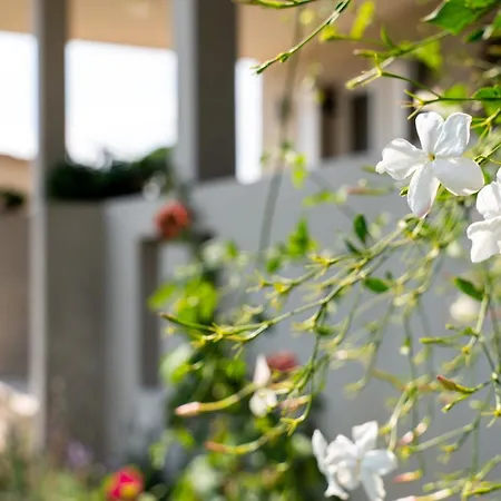 Tesys And Apartments, By Zantewize Lägenhet Laganas