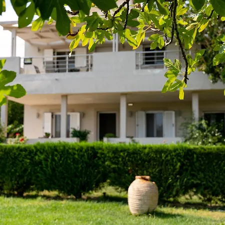 Tesys And Apartments, By Zantewize