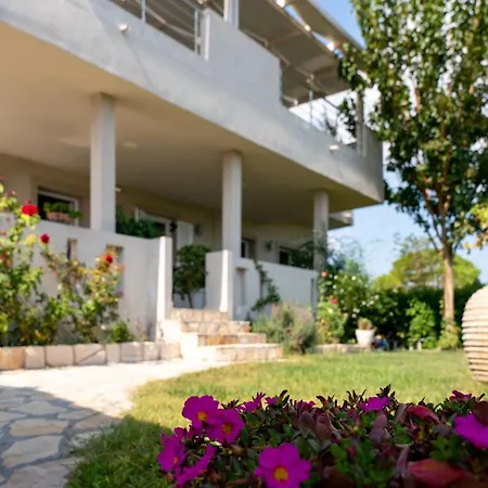 Apartman Tesys And Apartments, By Zantewize *