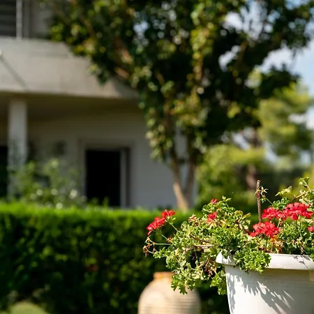 Tesys And Apartments, By Zantewize *